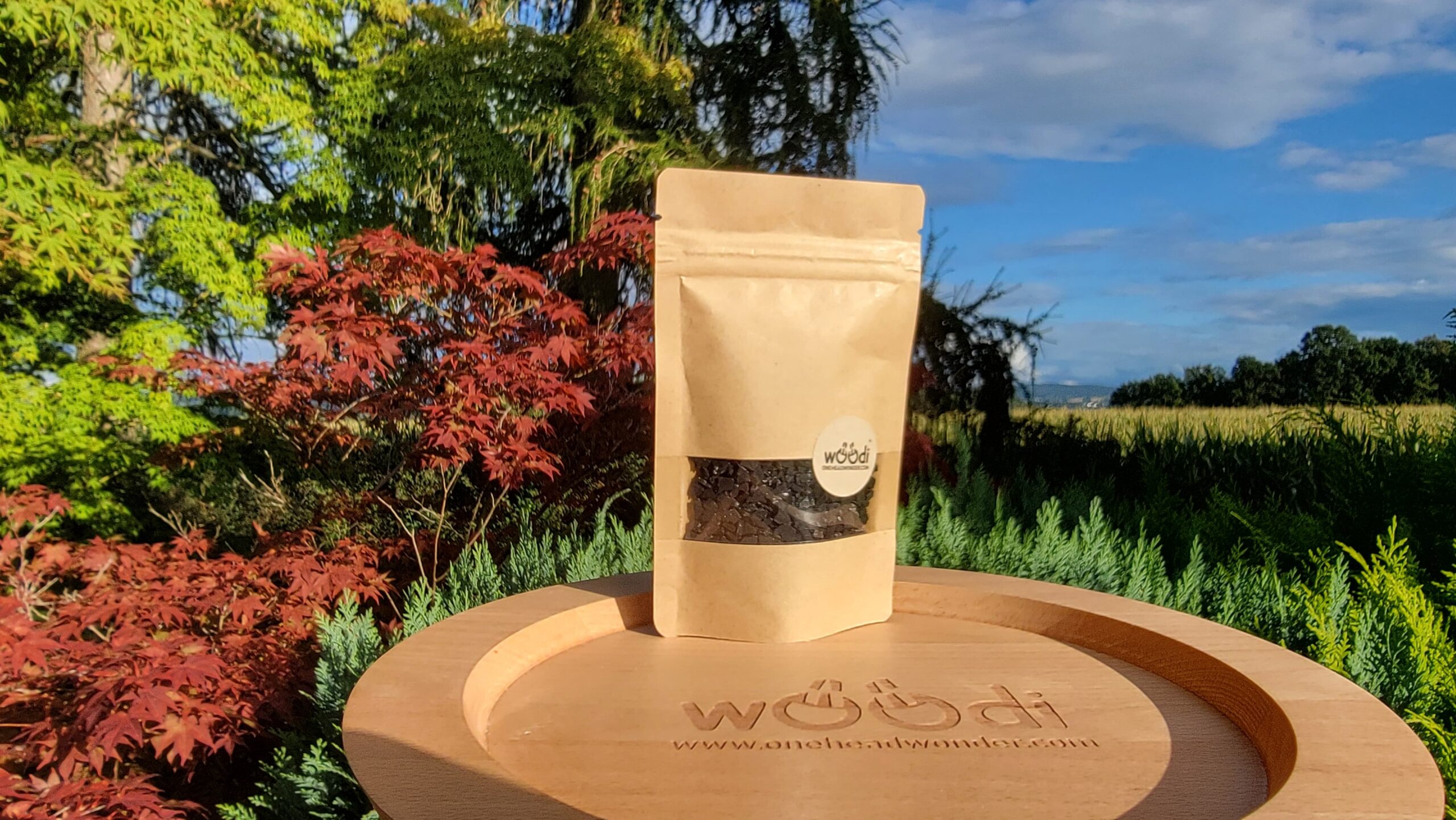 Kokos Aktivkohle – 25g